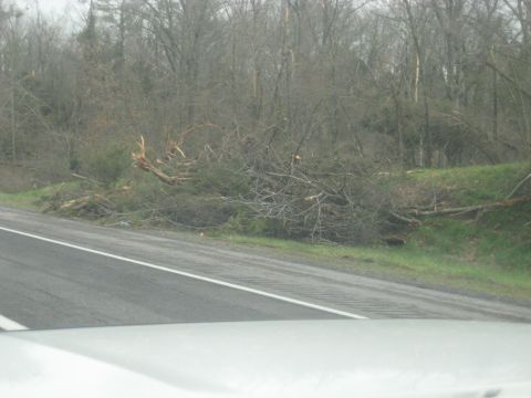 1978 Ford Bronco - Fallen trees and branches litter the side of a highway, obscuring the view of the landscape.
