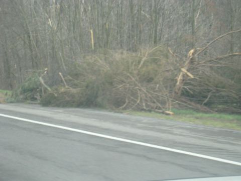 1978 Ford Bronco - Fallen trees and branches litter the side of the road, indicating recent storm damage.