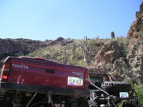 1986 Toyota Hilux - Maroon Toyota Tacoma pickup truck in a desert landscape with saguaro cacti.