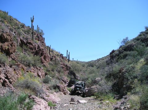 1986 Toyota Hilux - Off-road vehicles traverse a dry, rocky wash in a desert canyon with saguaro cacti.