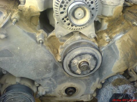 1992 Ford Crown Victoria - Engine timing cover and alternator assembly, showing wear and dirt accumulation.