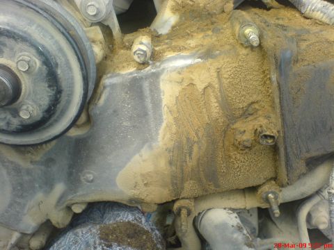1992 Ford Crown Victoria - Close-up view of a dirty engine timing cover and pulley assembly.