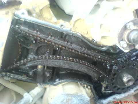 1992 Ford Crown Victoria - Close-up of engine timing chains and gears, showing oil residue and wear.