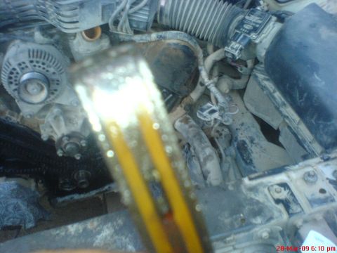 1992 Ford Crown Victoria - Close-up view of engine components including timing chain and alternator.