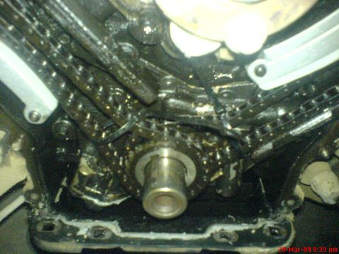 1992 Ford Crown Victoria - Engine timing chains and gears are visible in this close-up view.