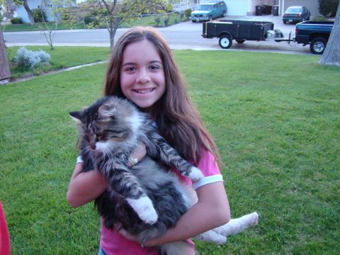 1989 Ford Bronco - A young girl smiles while holding her cat in a suburban yard, with a trailer and other vehicles visible in the background.