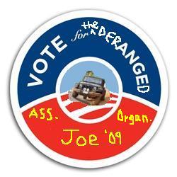 2008 Jeep Wrangler - This sticker appears to be a political campaign item with a Jeep graphic and text indicating 'Joe '09'.
