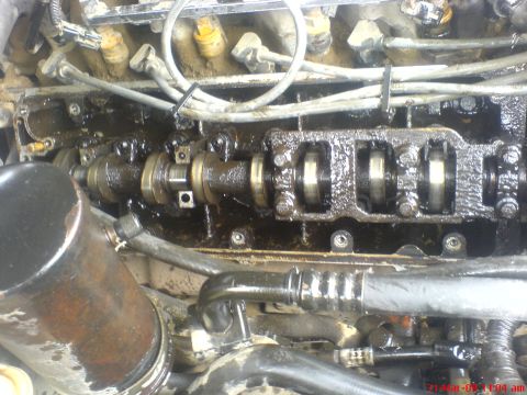 1992 Ford Crown Victoria - Close-up of an engine's internal components, showing a camshaft and associated parts covered in oil.