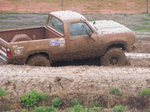 1979 Ford F-250