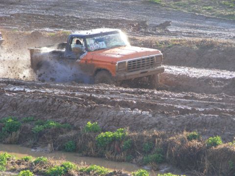 1979 Ford F-250