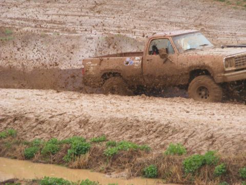 1979 Ford F-250