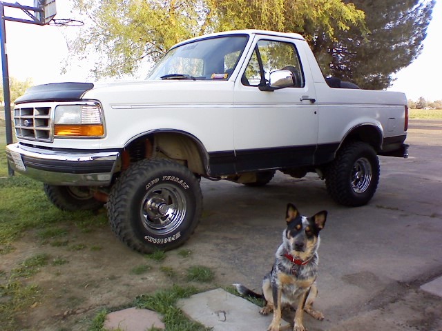 1995 Ford Bronco “Short Bus”