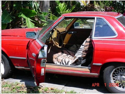 1994 Ford Bronco - A red coupe is seen with its driver's door ajar, revealing a tiger-striped seat cover inside.