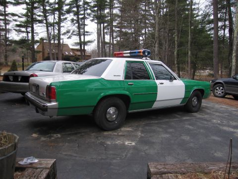 1991 Ford LTD Crown Victoria - green and white Ford full-size sedan with a roof light bar, parked rear-quarter on a paved driveway among pine trees.