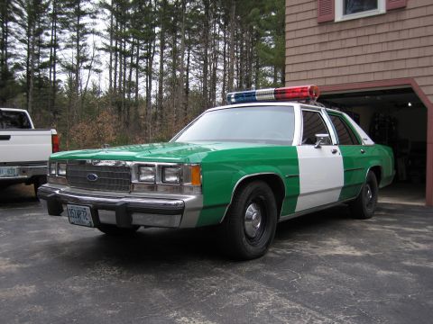 1991 Ford LTD Crown Victoria - green and white full-size Ford sedan with roof light bar parked front-quarter in a driveway beside a pickup and garage.