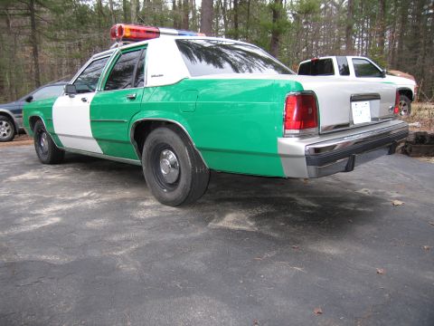 1991 Ford LTD Crown Victoria - green and white full-size Ford sedan with roof light bar parked rear-quarter on pavement beside a pickup truck and trees.