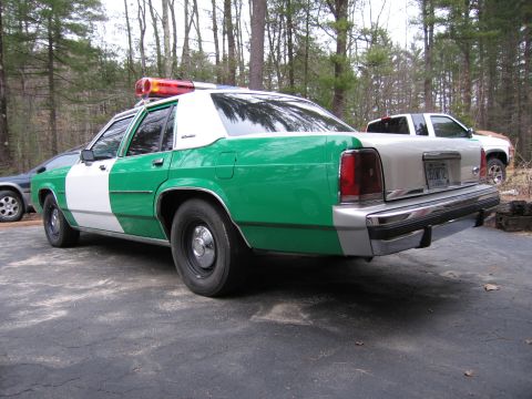 1991 Ford LTD Crown Victoria - green and white full-size Ford sedan with roof light bar parked rear-quarter on a driveway near a pickup and bare trees.