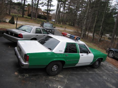 1991 Ford LTD Crown Victoria - green and white full-size Ford sedan with roof light bar seen from an elevated rear-quarter angle in a wooded driveway.