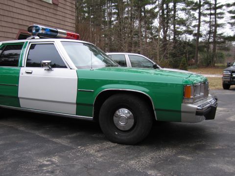 1991 Ford LTD Crown Victoria - Side view of a green-and-white police sedan with a roof light bar, parked on a paved driveway near pine trees.