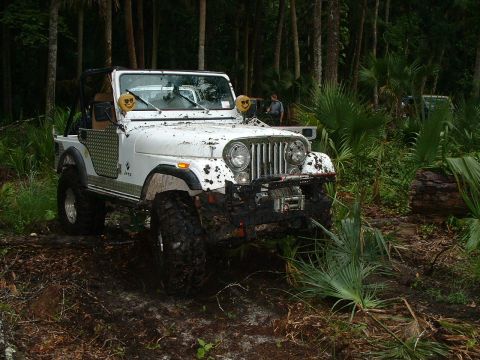 1995 Ford Bronco - bad ass cj5