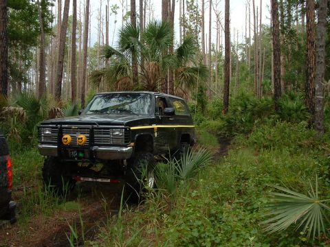 1995 Ford Bronco - big k5
