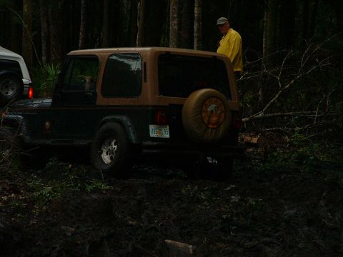 1995 Ford Bronco - caught on a log