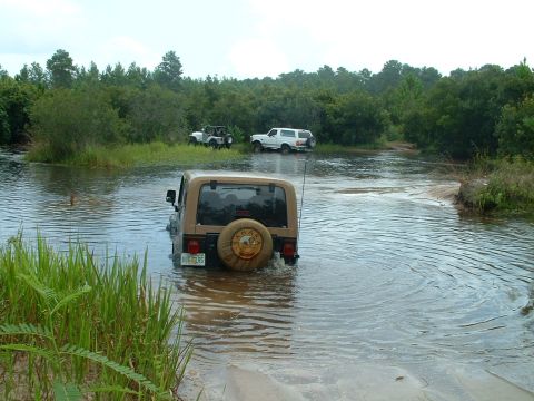 1995 Ford Bronco - going...