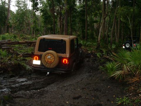 1995 Ford Bronco - heep making it thru