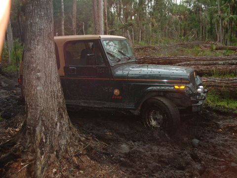 1995 Ford Bronco - heep making it thru