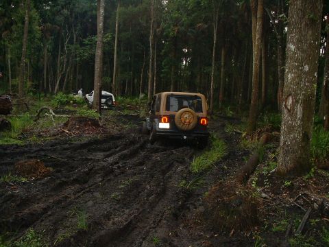 1995 Ford Bronco - arrgg, stuck again