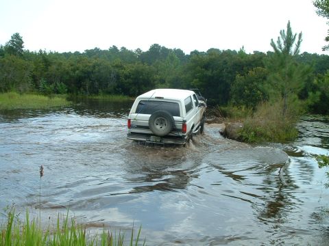 1995 Ford Bronco - he made it thru