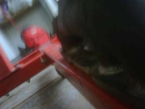 1986 Toyota Hilux - A blurry engine part is visible on a red stand, with some text at the bottom right of the image.