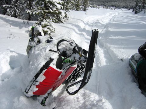 1999 Arctic Cat Powder Special 600 EFI “Pickle”