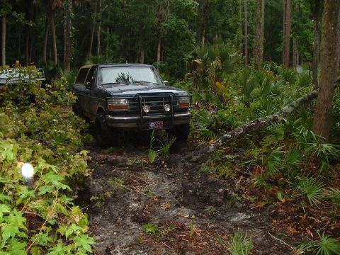1995 Ford Bronco - john fixing to get hung up on that log
