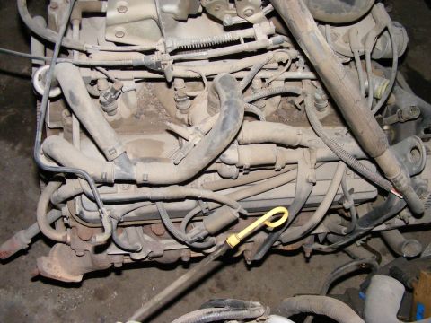 1979 Ford Bronco - Close-up view of a dusty engine bay, showing various hoses, wiring, and engine components.
