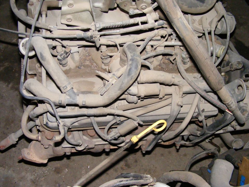 Engine bay with hoses, wires, and dipstick