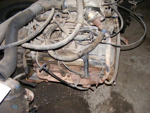 1979 Ford Bronco - Close-up view of an engine bay, showing various hoses, wiring, and engine components.