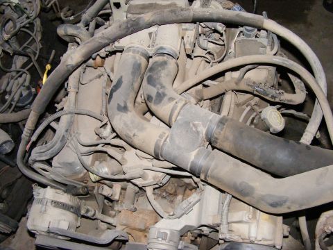 1979 Ford Bronco - Close-up view of a dusty engine compartment, showing various hoses and electrical components.