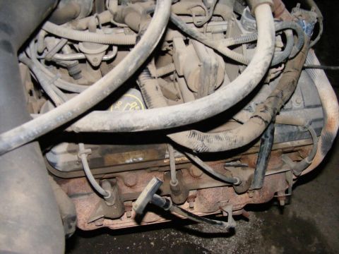 1979 Ford Bronco - Close-up view of a dusty engine compartment with various hoses and electrical wiring.