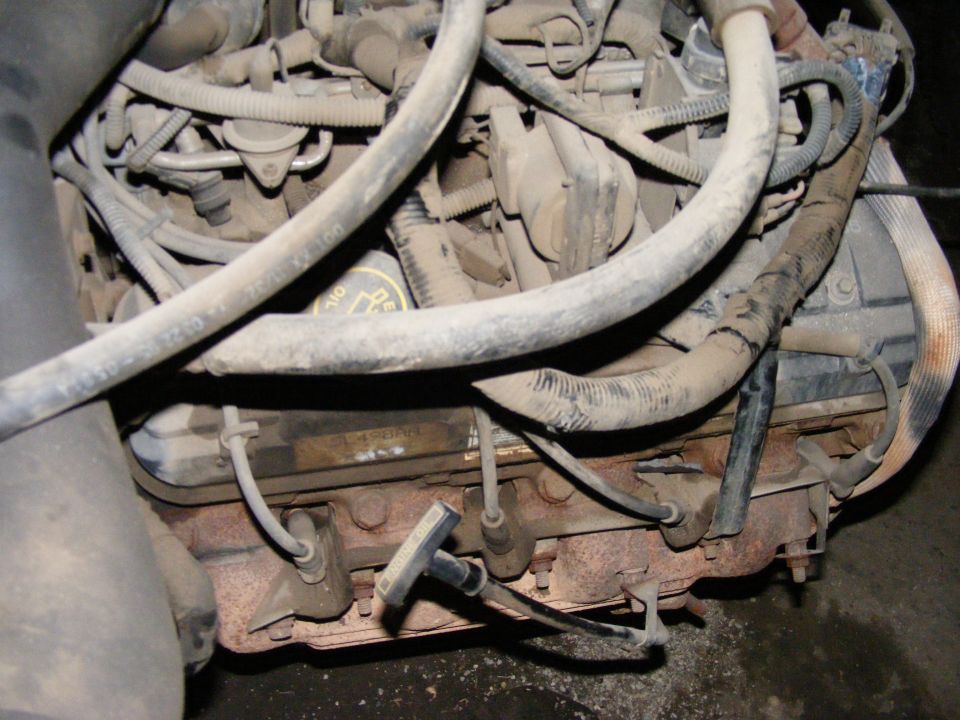 Engine bay with hoses and wiring. Oil cap visible