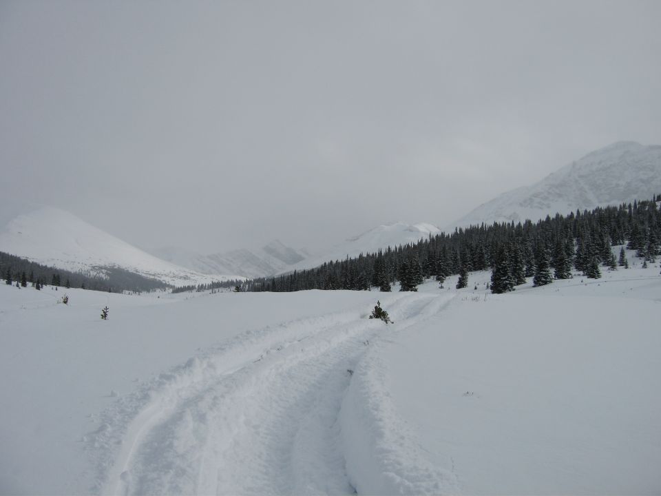 Snowy mountain valley with pine trees and tracks in the snow