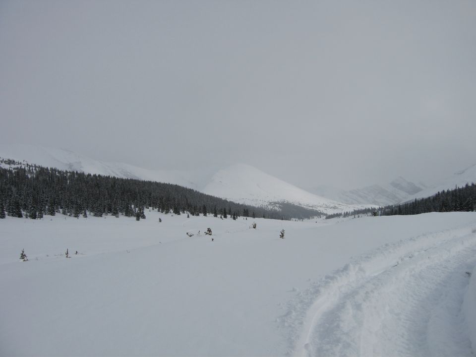 Snowy mountain valley with pine trees and tracks in the snow