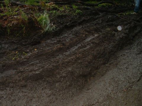 1995 Ford Bronco - nice thick mud