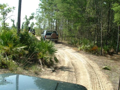 1995 Ford Bronco - nice wide trail, not to many of these