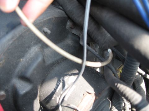 1994 Ford Bronco - Close-up view of engine bay components, including a beige vacuum hose and black wiring harnesses.