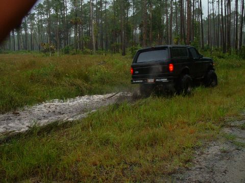 1995 Ford Bronco - no problem