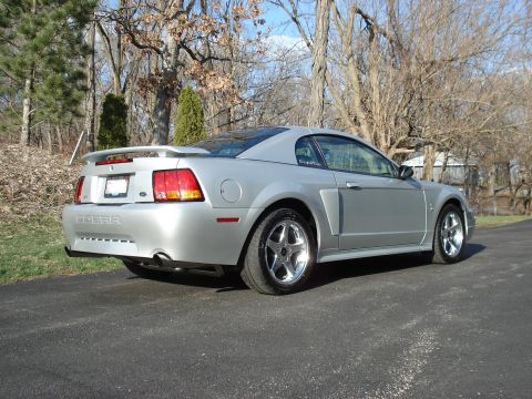 1998 Ford Taurus - This silver Ford Mustang Cobra features a rear spoiler and distinctive Cobra badging on the trunk.