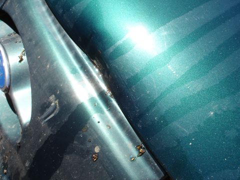 1995 Ford Taurus - Detail of a green vehicle's bodywork, highlighting areas of wear and tear.