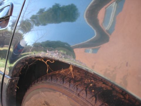 1995 Ford Taurus - Close-up view of a dark blue car's rear wheel well, showing accumulated debris and reflections on the body panel.