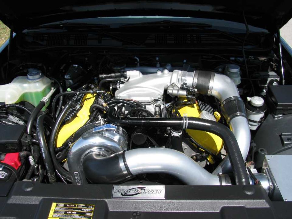 Engine bay with ProCharger supercharger and yellow valve covers